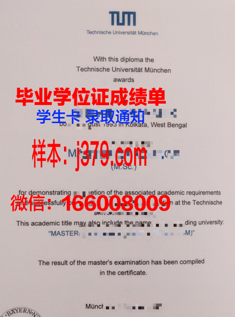慕尼黑造型艺术学院硕士毕业证书样本(慕尼黑设计学院)