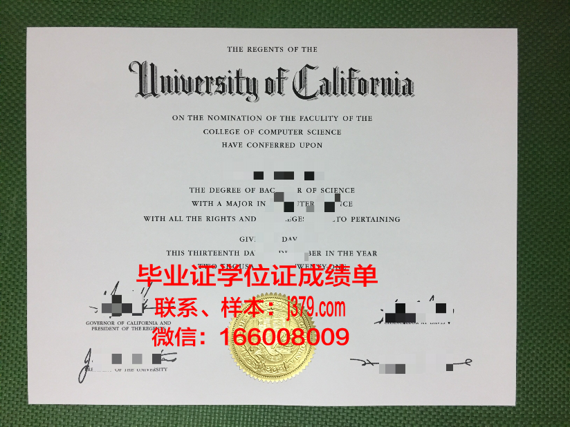 塔什干国立东方研究学院本科毕业证：一份跨越文化与学术的珍贵证书