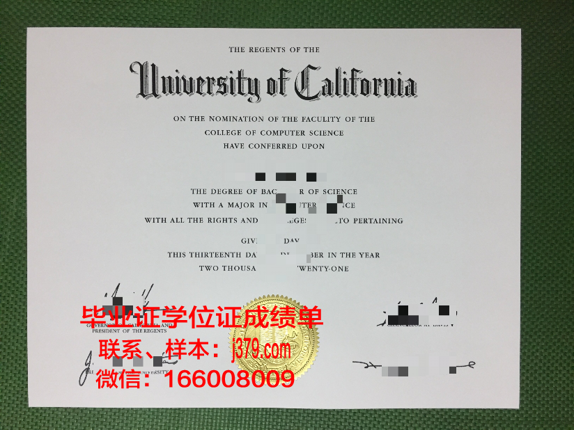 塔伊兹大学毕业证案例(塔伊兹是哪个国家)