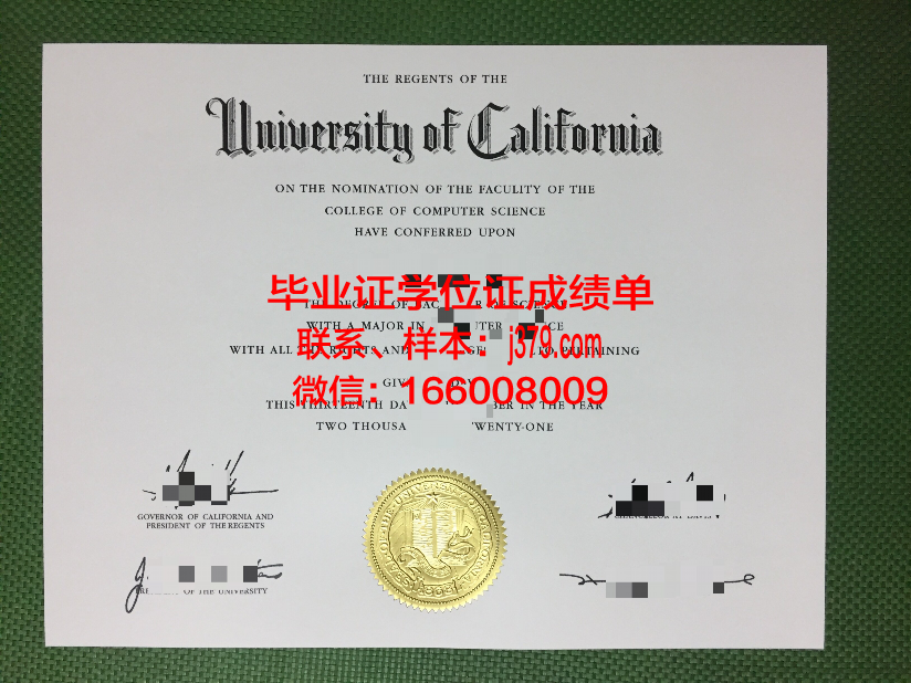 康塞普西翁大学硕士毕业证：一份跨文化的学术荣耀