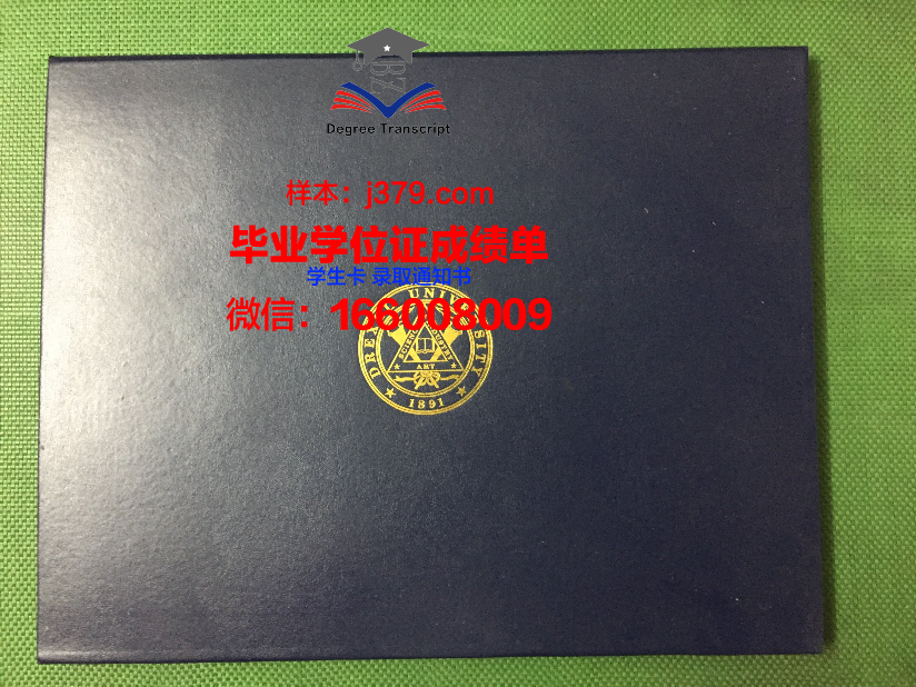 塞尔思恩学院毕业文凭
