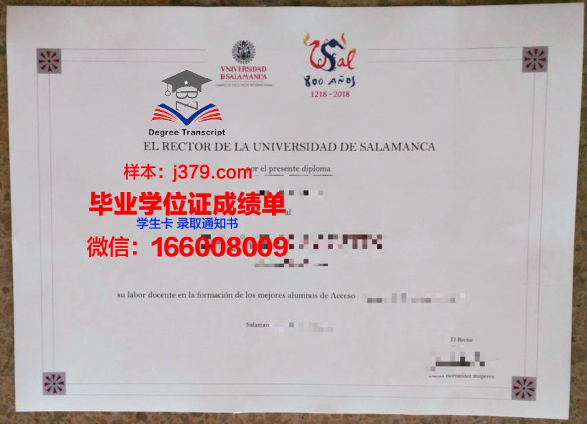 费撒巴拉政府大学学院毕业证书(费萨拉巴德政府学院大学)