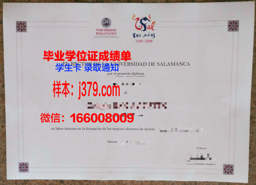 费撒巴拉政府大学学院毕业证照片(费萨拉巴德农业大学排名)