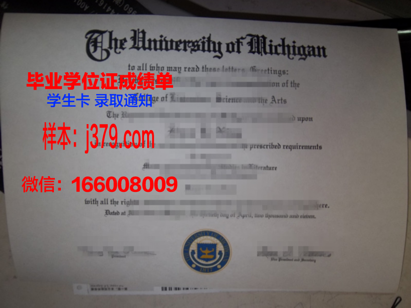 赛城大学毕业证好找工作吗(赛城国际集团招聘)