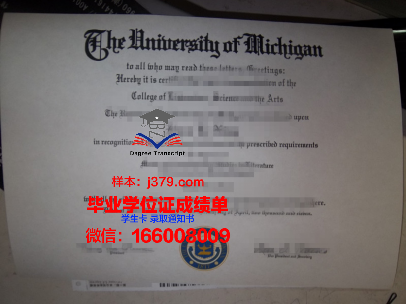 塔工院博士毕业证：一张纸的重量与荣耀