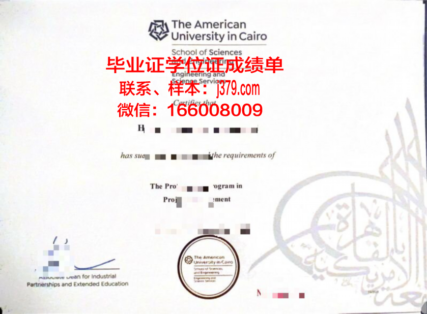 开罗大学毕业证图片(开罗大学毕业证图片)