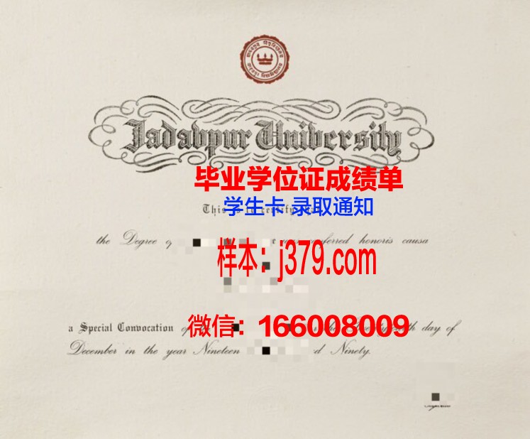 贾达普大学成绩单：揭开高等教育质量的真相