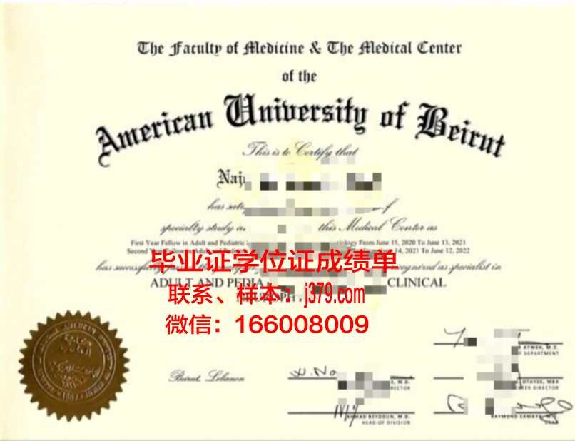 贝鲁特阿拉伯大学毕业证：跨越文化与教育的桥梁