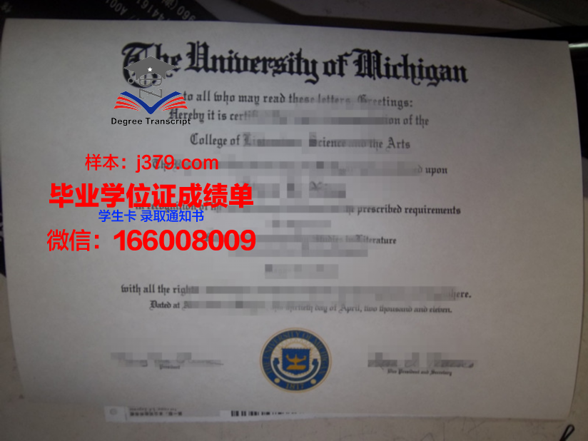 赛大毕业证成绩单：一份承载荣誉与回忆的证明