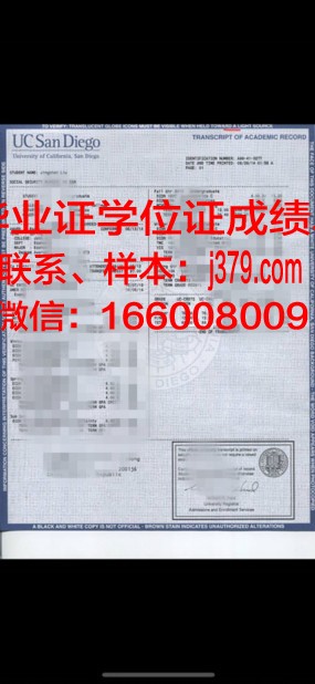 塔伊兹大学成绩单(塔里木大学成绩单)