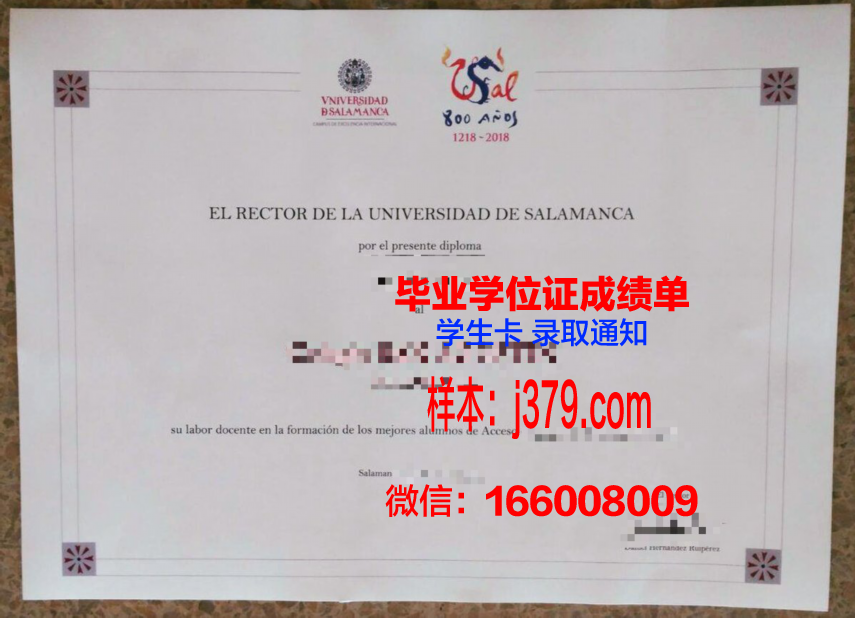 费萨拉巴德农业大学本科毕业证(费萨拉巴德农业大学排名)