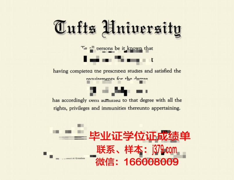 塔伊兹大学硕士毕业证书样本(塔夫斯大学毕业证)