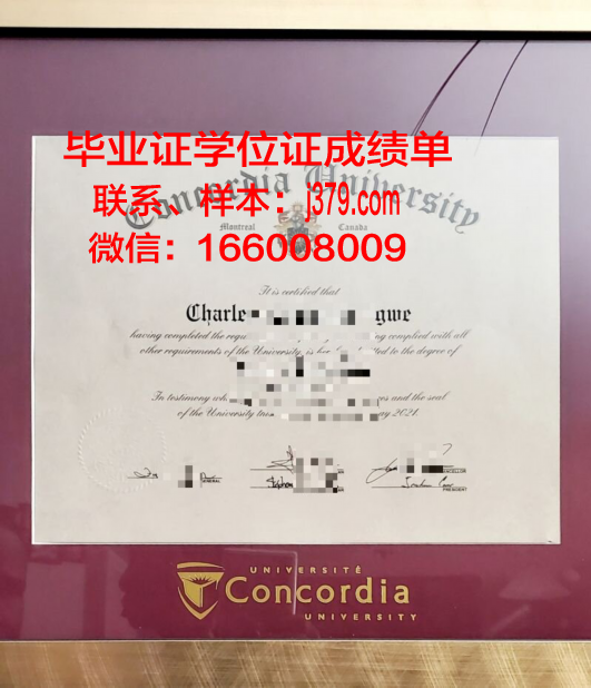 康考迪亚大学毕业证案例(康考迪亚大学录取条件)