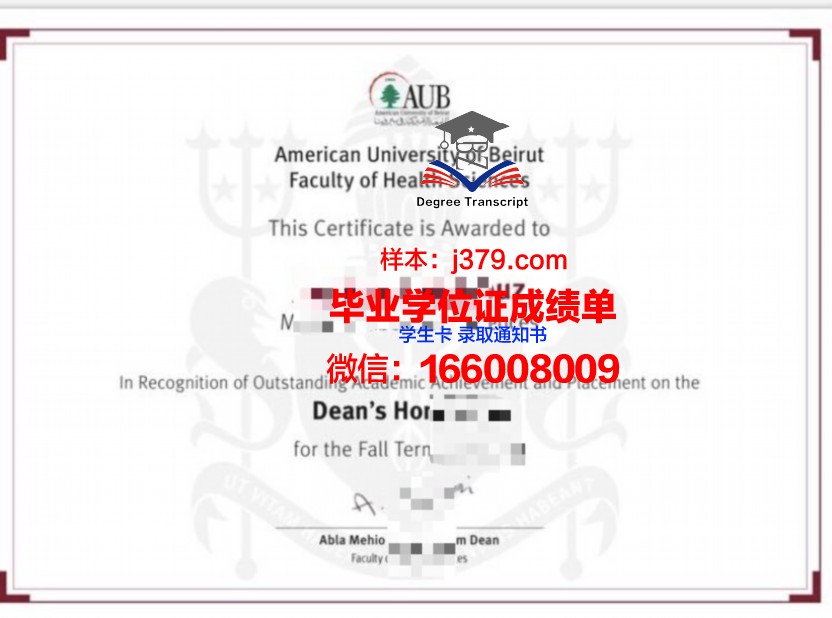 贝鲁特阿拉伯大学本科毕业证