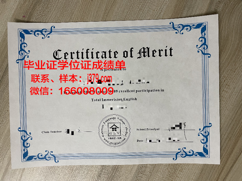 塔伊兹大学毕业证书模板(塔沟大学毕业证书)