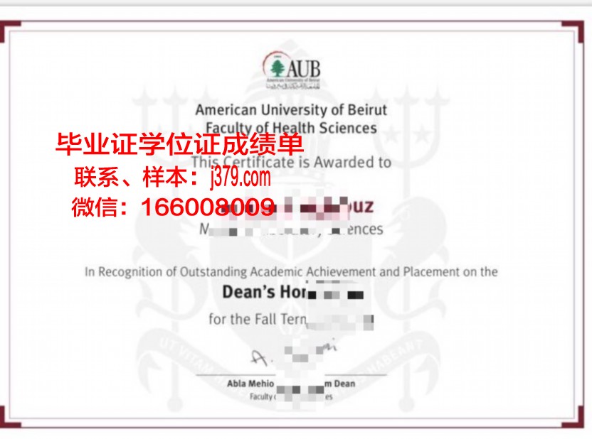 贝鲁特美国大学毕业证真伪(美国大学毕业证和学位证格式)