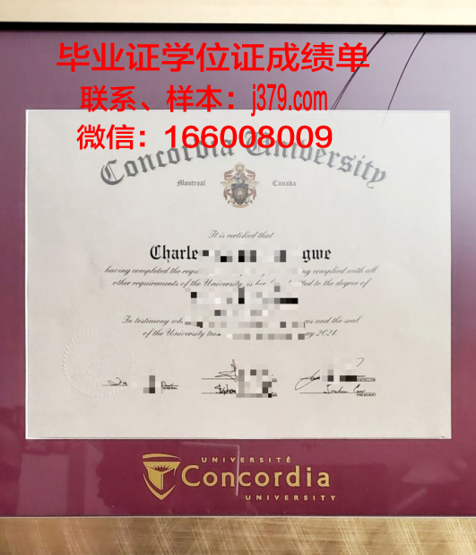 康考迪亚大学圣保罗分校学位证书(康考迪亚大学本科申请)