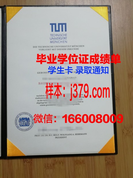 慕尼黑大学毕业证：一张通往未来的通行证