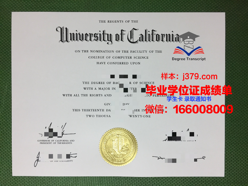 开罗大学毕业证外壳(毕业证丢了开学校证明怎么开)