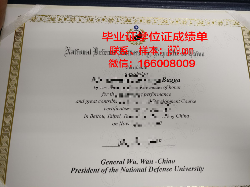 慕尼黑国防大学学位成绩单定制：探索学术诚信与职业发展的边界