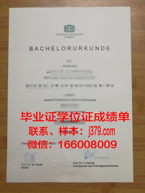 开姆尼茨工业大学证书成绩单(开姆尼兹大学qs排名)