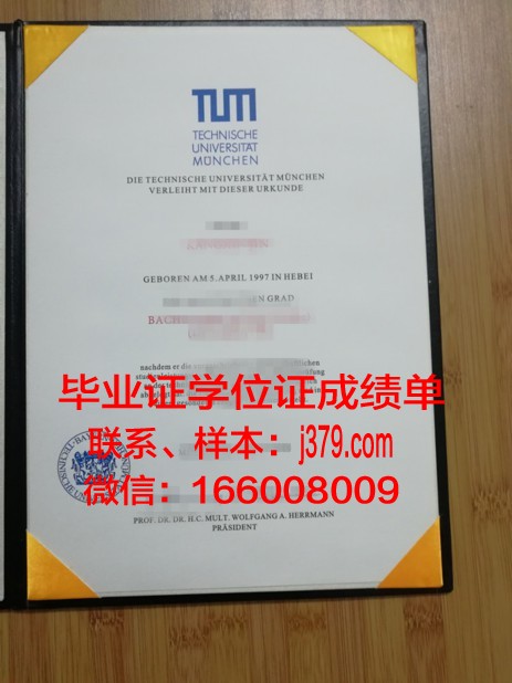慕尼黑音乐和戏剧学院毕业证高清图(慕尼黑音乐与表演艺术大学)