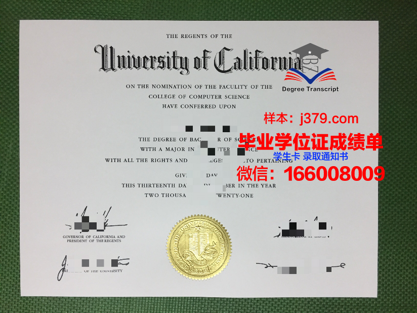 戈亚斯联邦大学毕业证封面