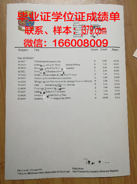 弗拉基米尔国立大学毕业证书图片模板(弗拉基米尔国立大学艺术学院)