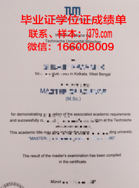 慕尼黑工业大学拿不了毕业证(慕尼黑工业大学毕业证书)