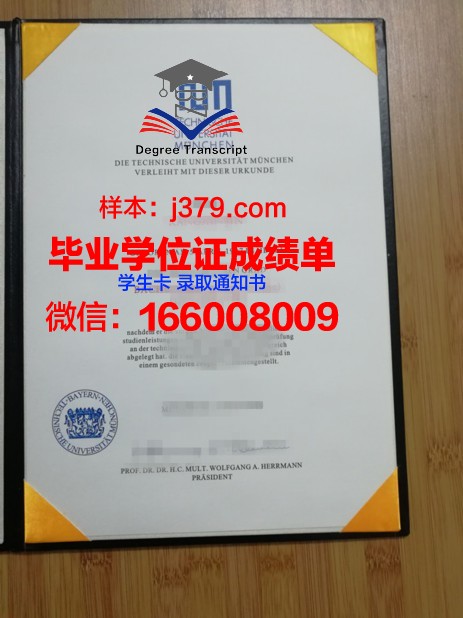 慕尼黑造型艺术学院毕业证是什么样子(慕尼黑设计学院)