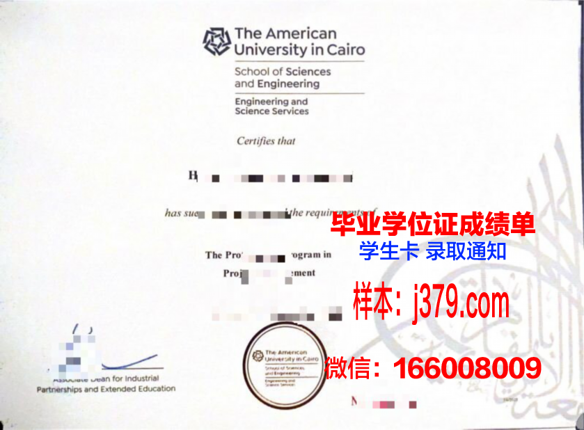 开罗大学毕业证是什么样呢(开罗大学毕业证是什么样呢图片)