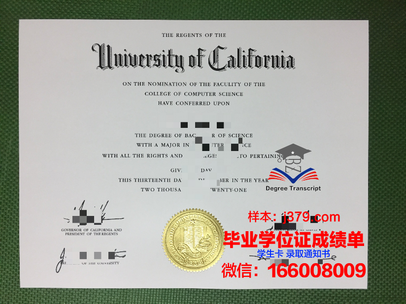 府大本科毕业证：承载荣誉与梦想的证书