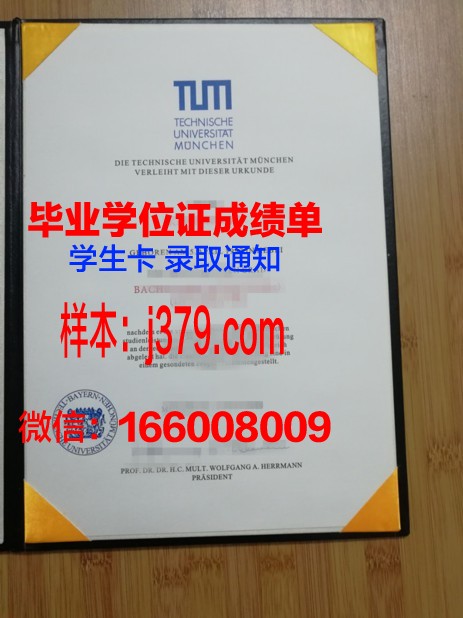 慕尼黑工业大学diploma证书(慕尼黑工大cse)