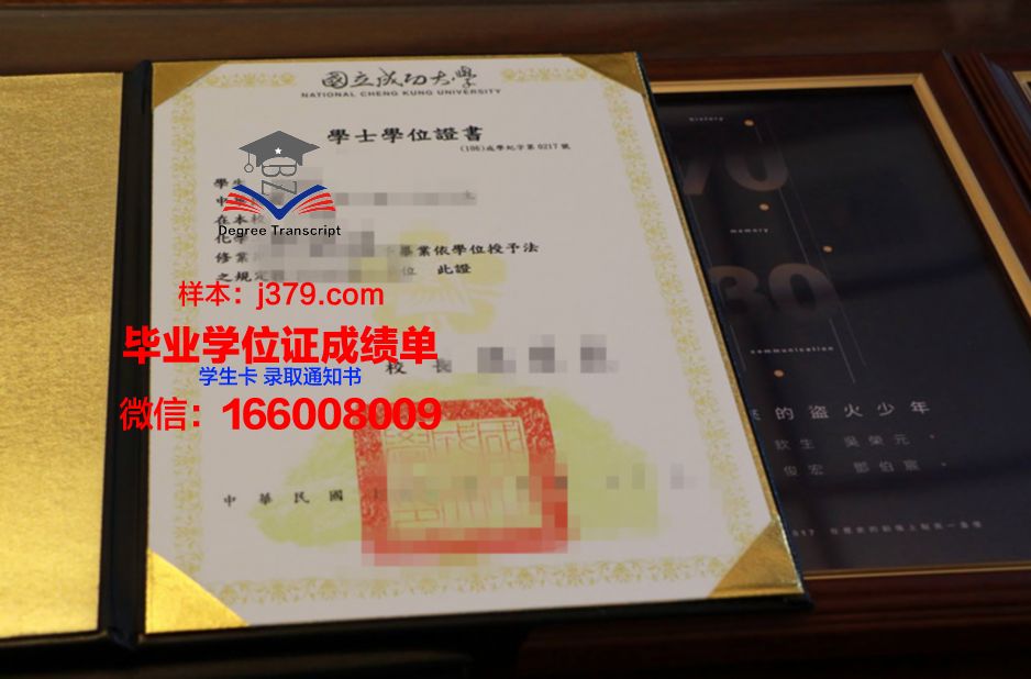 成功大学博士毕业证：一张纸背后的故事