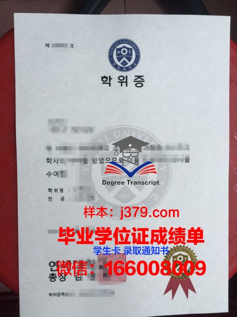 延世大学校园卡(延世大学校门)