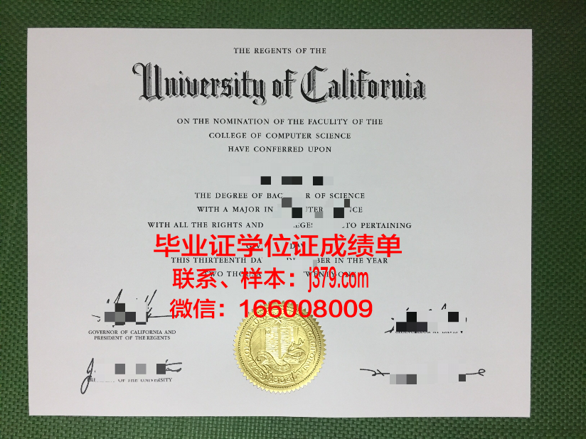情大学毕业证：爱情教育的终极目标