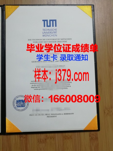 慕尼黑商学院毕业证成绩单(慕尼黑商学院申请条件)