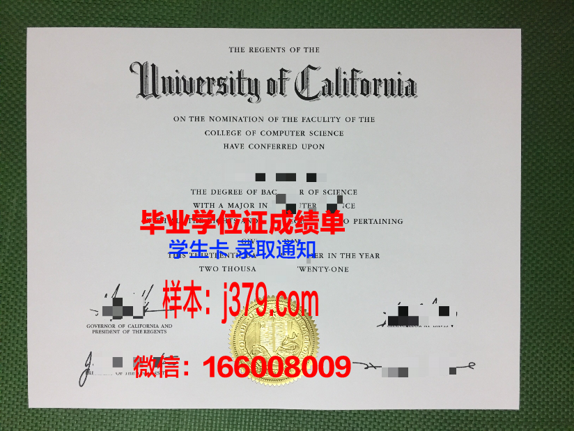 戈亚斯联邦大学本科毕业证