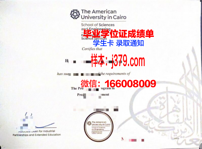 开罗大学毕业证书多久收到(开罗大学毕业证书多久收到的)