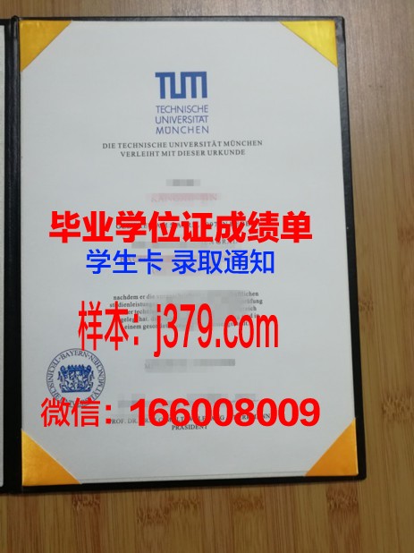 慕尼黑造型艺术学院硕士毕业证：开启艺术新篇章的通行证