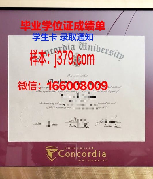 康考迪亚学院毕业证书什么颜色(康考迪亚大学国内认可度高吗)