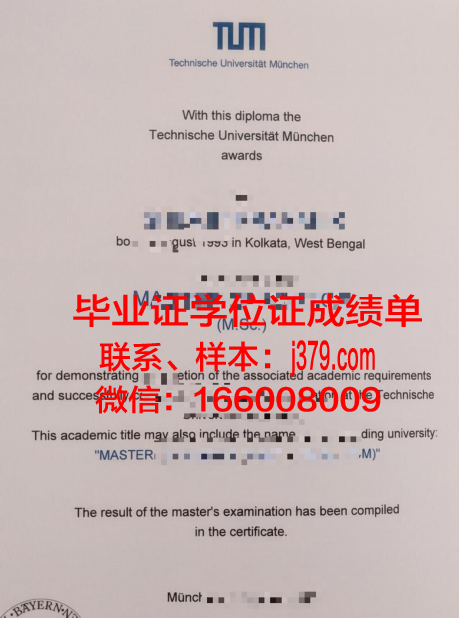 慕尼黑造型艺术学院博士毕业证：一份荣誉与责任的象征
