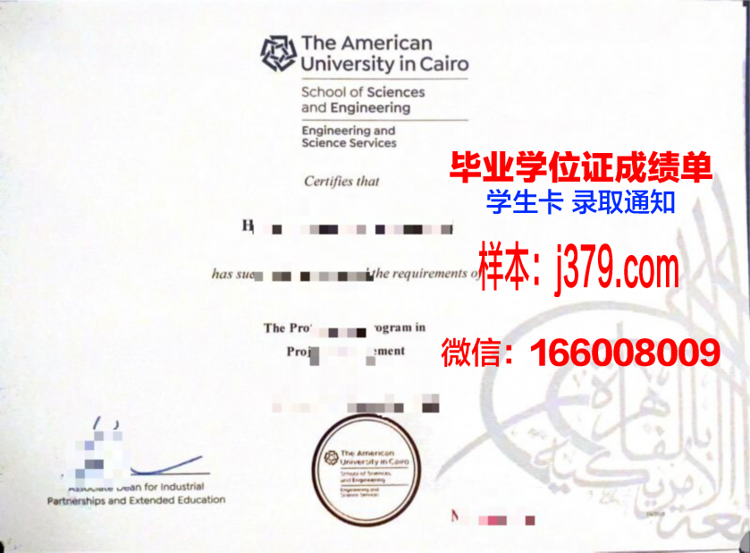 开罗美国大学毕业证是什么模样(开罗美国大学排名)