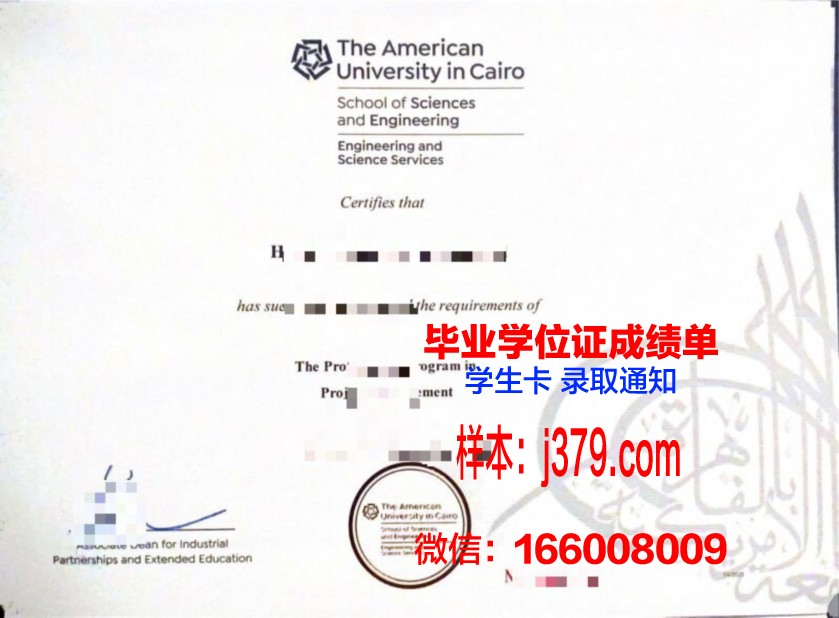 开罗美国大学毕业证是什么模样(开罗美国大学排名)