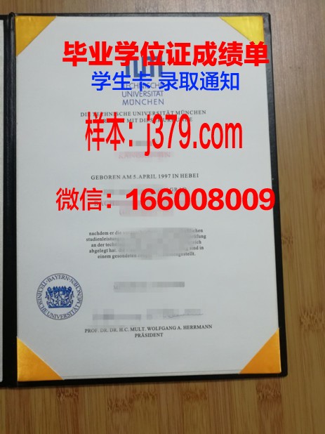慕尼黑商学院研究生毕业证书(慕尼黑商学院申请条件)