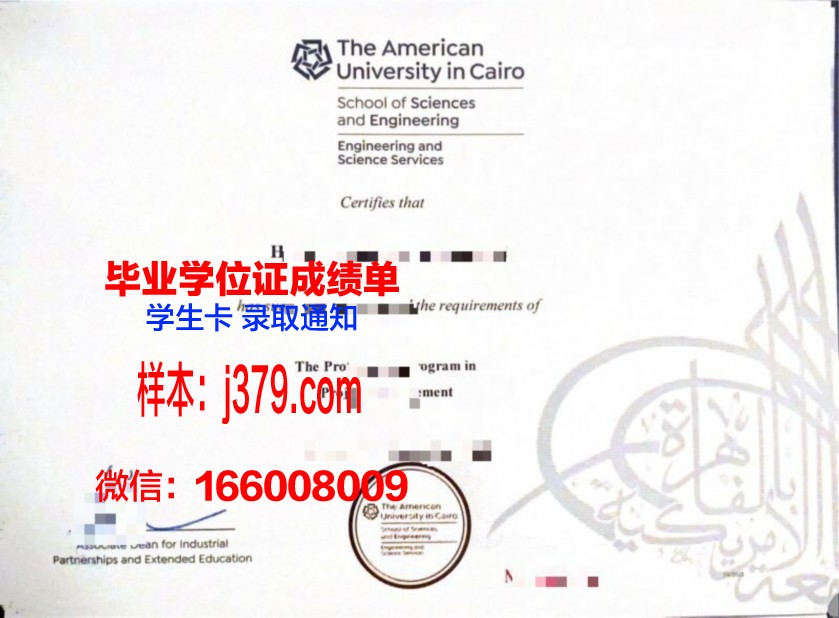 开罗大学毕业证电子版(开罗大学本科申请)