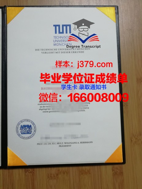 慕尼黑媒体学院毕业证成绩单(慕尼黑大学传媒硕士申请条件)
