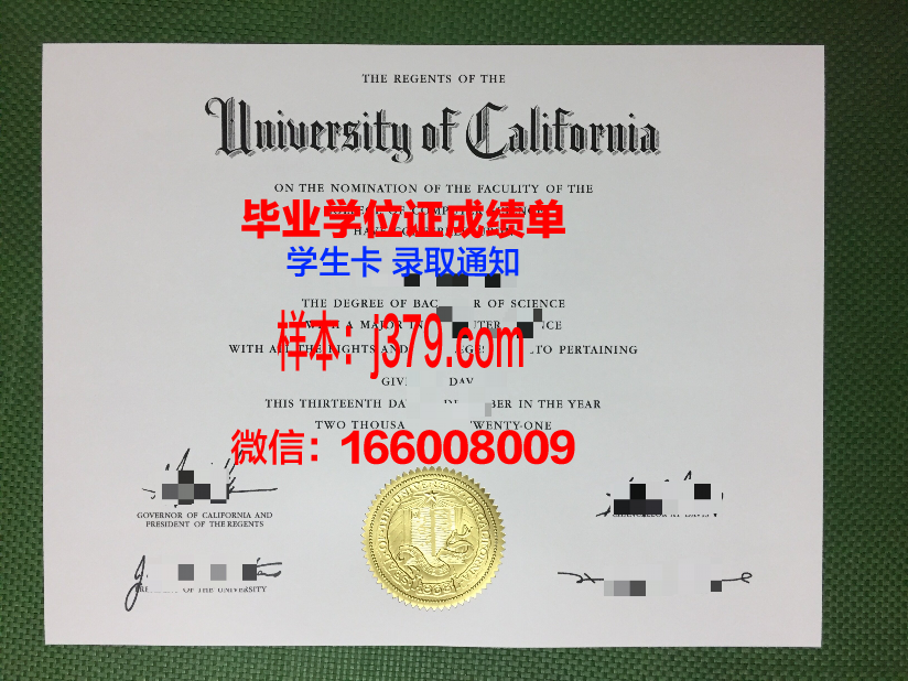 延大校园毕业证成绩单怎么查：一步步教你顺利获取
