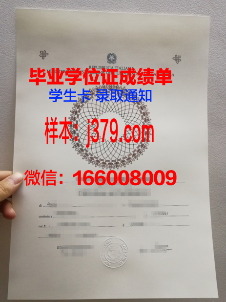 意大利毕业证翻译(意大利毕业证分等级吗)