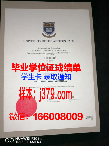 开普大成绩单：一份耀眼的成绩，一段辉煌的历程